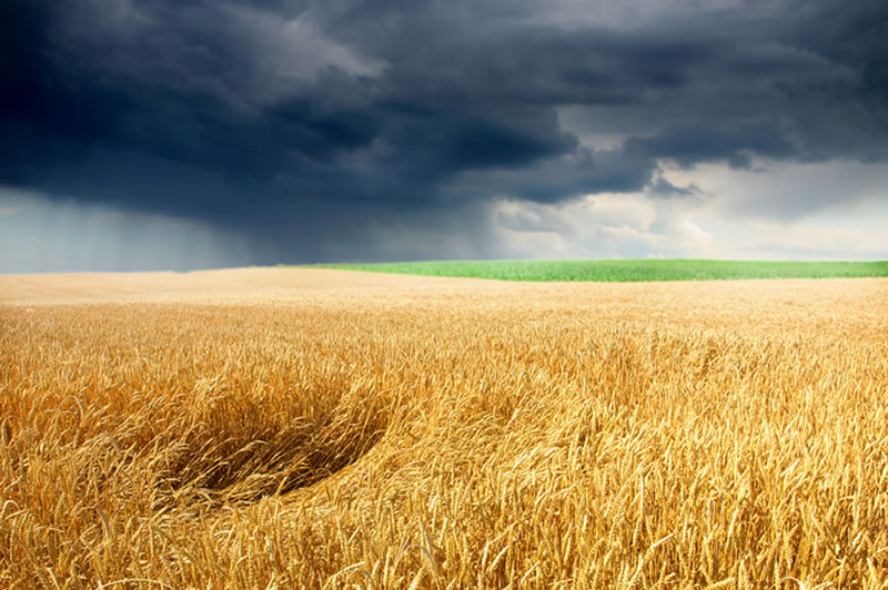 Aléas climatiques